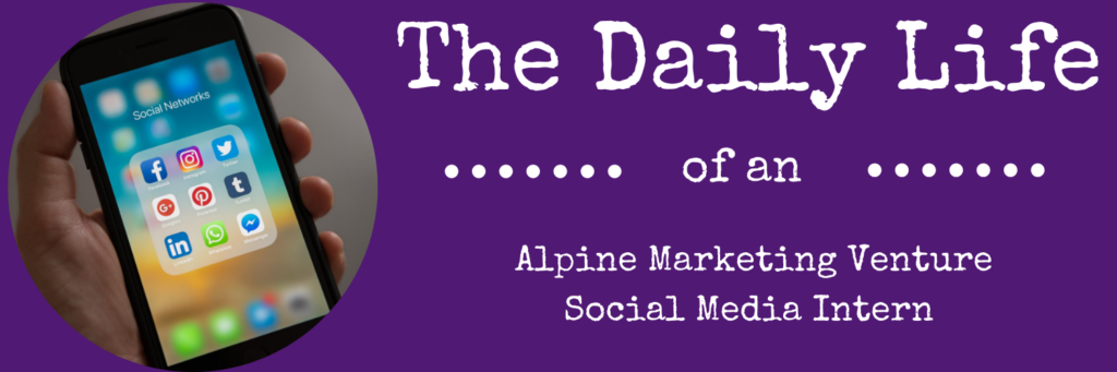 Alpine Marketing Ventures Intern