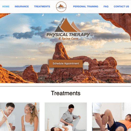 affordable small business marketing for Alpine Physical Therapy